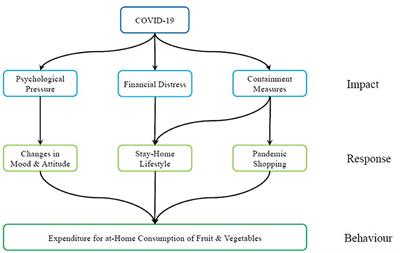 Purchases of Fruit and Vegetables for at Home Consumption During COVID-19 in the UK: Trends and Determinants